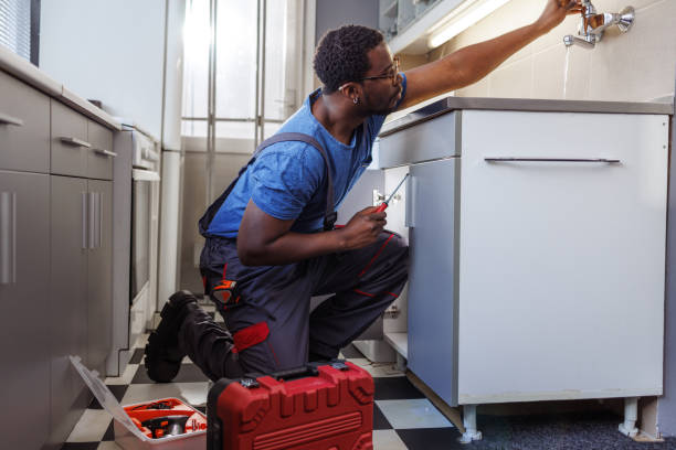 Best Commercial Plumbing Services  in , MN